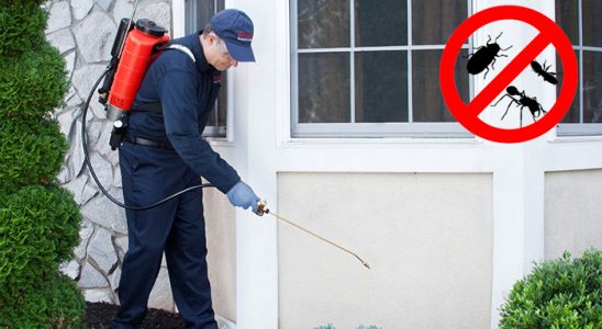 Torbalı Bit İlaçlama böcek ilaçlama ve haşere kontrolü — ilaclama-tr.com